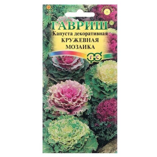 ���� ������. ������� ������������ 