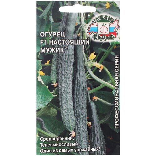 ���� ������ ����� ������ ��������� ����� F1 0.2 �, 2 ��., ������ �� 269 ���