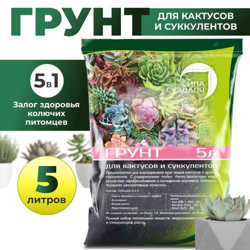 ���� ����� ���� ������� ��� �������� � ����������� black ���e���, 5 �, 2.5 ��, ������ �� 520 ���