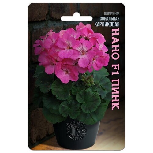 ���� ������ ���������� ��������� ���������� 