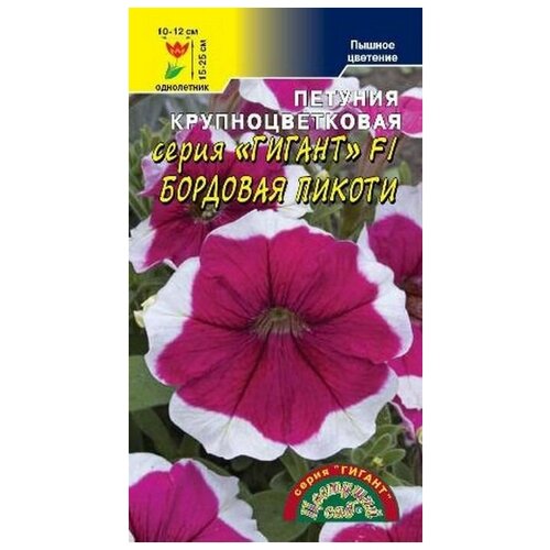 ���� ������ �������� ��� 