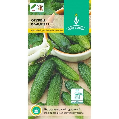 ���� ������ ������� F1. ������. ������������ ���� ��� ��������� � � ����������� ������. ������� ������ 10-12 ��, ������ �� 90 ��, ��� ������, ������ �� 79 ���