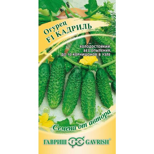 ���� ������ ������ ������� F1, 10��, ������, ������ �� ������, ������ �� 125 ���