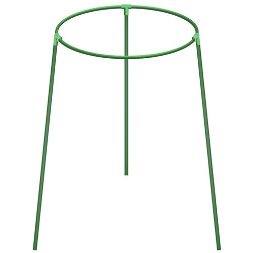 ���� �������������� 