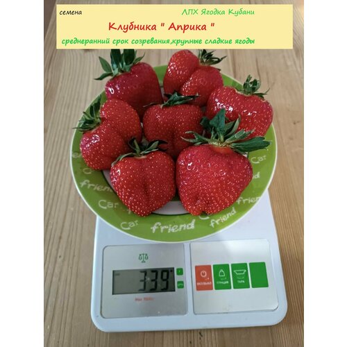 ���� �������� 