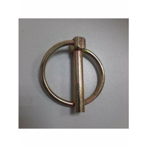 ���� ������ ����� d=6��, L=40�� �� ������������//010129� (2��), ������ �� 255 ���