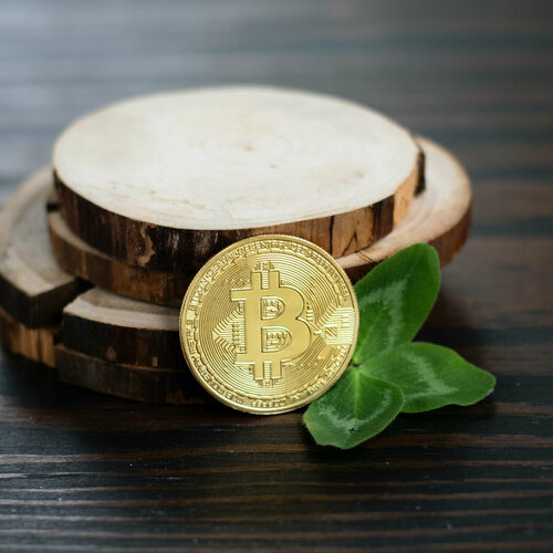 ���� ������ ���������� ���������� Bitcoin BTC ������� (������) � ����������� ���������� ������� (d 4,1��, ��� 21�), ������ �� 283 ���