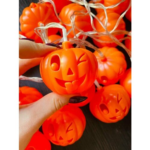 ���� ��������������� 