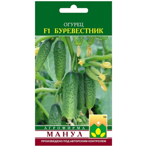 ���� ������ ����� 