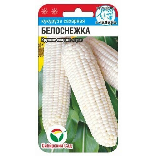 ���� ������ �������� ���������� �������� 10�� (��������� ���), ������ �� 40 ���