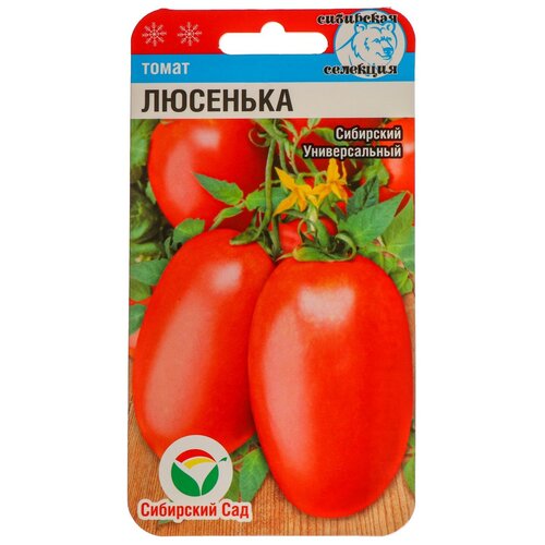 ���� ������ ����� 