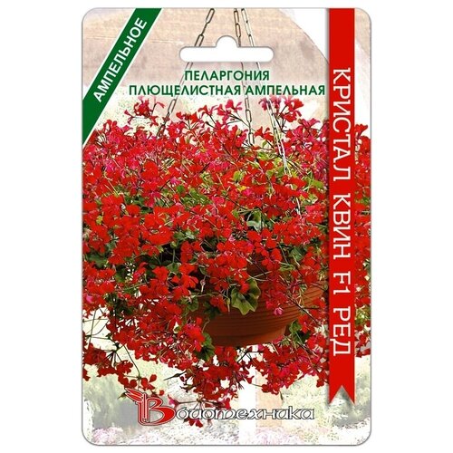 ���� ������ ���������� ������������ ��������� 