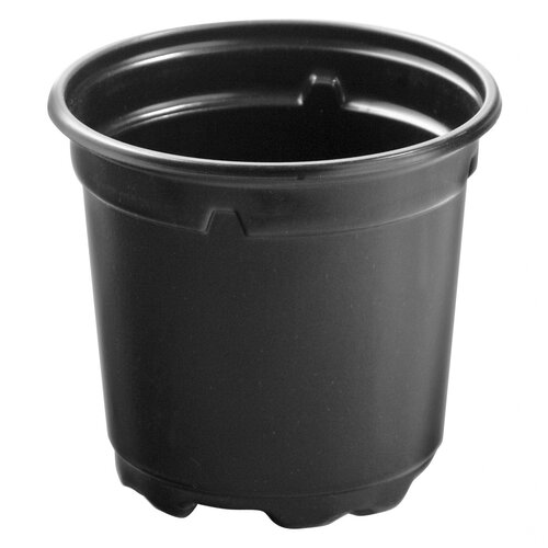    , 90  80 , , 10 , ,   202 