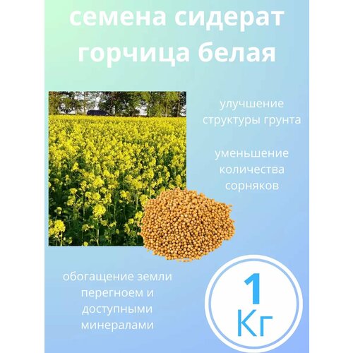 ���� ������� ����� ������ ������� 1 ��, ������ �� 170 ���