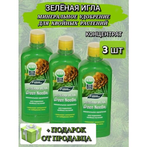 ���� ����������� �������� ����������� ��������� 