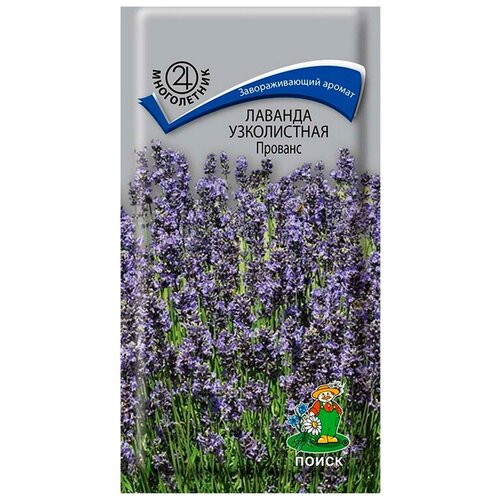 ���� ������ ������� ����������� ������� 0,1 ��, ������ �� 74 ���