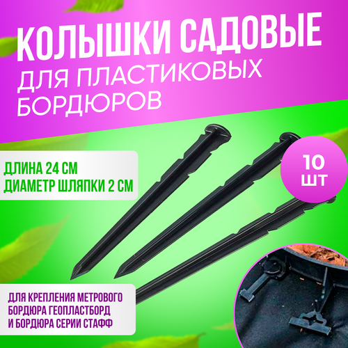 ���� ������� ������� ��� ����������� �������� ������������, 24�� �������� 10 ��., ������ �� 358 ���