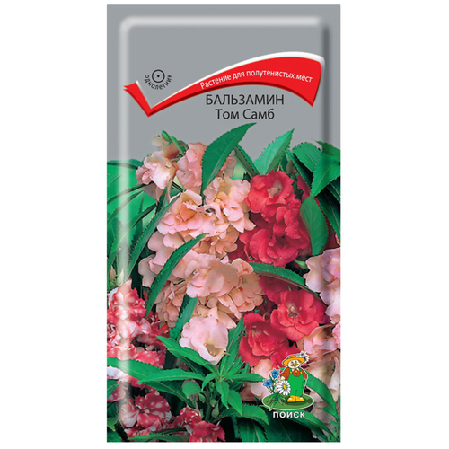 ���� ������ ���������� ����� ��� ���� 0,1 �, ������ �� 331 ���