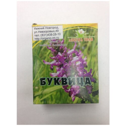   ,  1,5*20 -   (Betonica officinalis L.)   -     , -, 