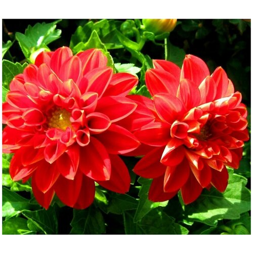 ���� �������� ������, �������, ����������� ���������������� ����� ��� ������ �������, ������, ������� � ��������� ������ , 8 �����, ������ �� 280 ���