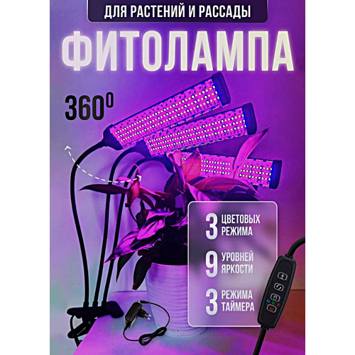 ���� ��������� ������������� ��� �������� � �������, ���������������� ����� �� �������� ��� �������� ����, ����, 3 �����, ������ �� 2690 ���