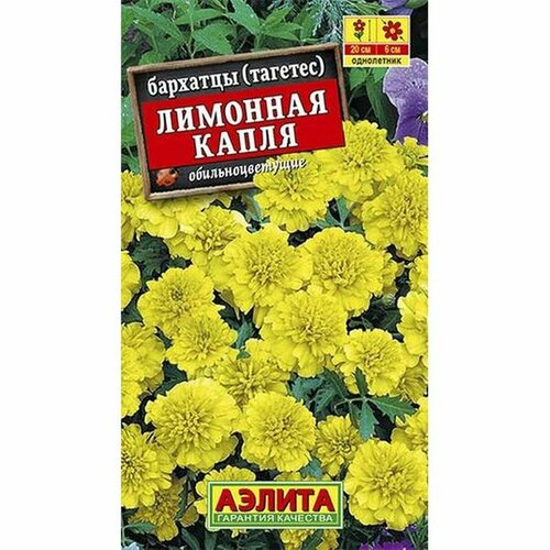 ���� �������� 