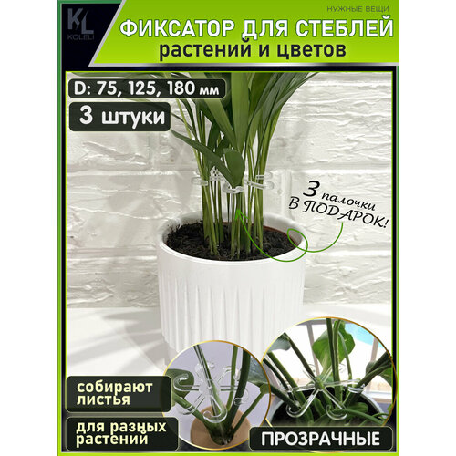 ���� KoLeli / ������ ����� ��� ����� ������� �������� / ������ ��� ��������� � �������� ������� � �����, ����������, ������ �� 665 ���