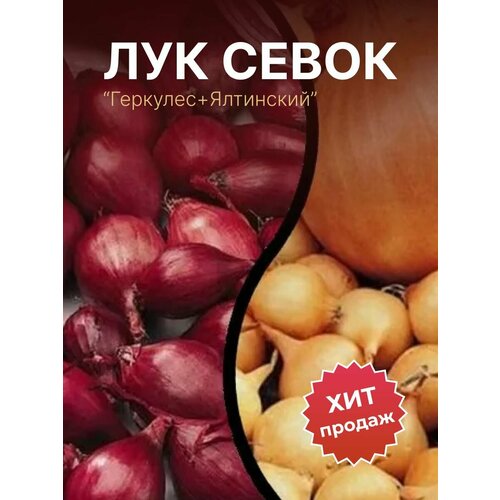 ���� ��� ����� �� ������� 