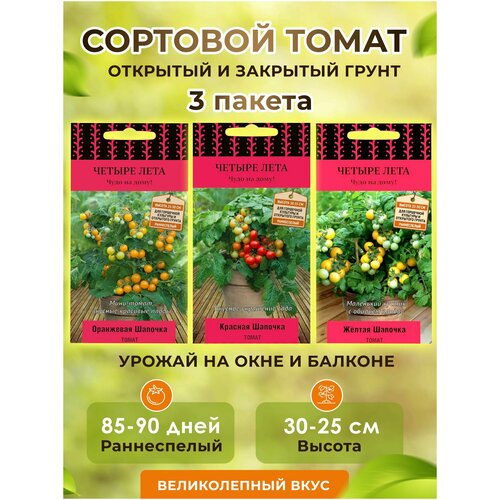 ���� ������ ����� ������� �������+ ������+ ��������� -3 ������, ������ �� 265 ���