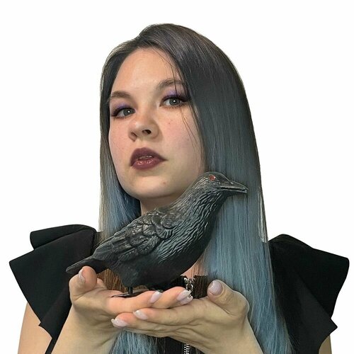 ���� ����� 