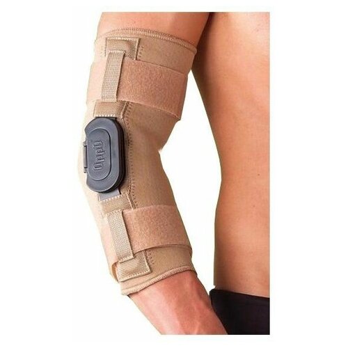 ���� ����� �������� ��������� � ������������ ���� �������� � ����������, 1287 Oppo, ���������� ������, ������ L, ������ �� 9898 ���