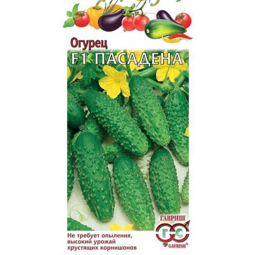 ���� ������ ������ �������� F1 �������� 0,3� ������������������ (������), ������ �� 83 ���