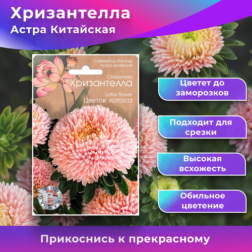 ���� ������ ����������� 