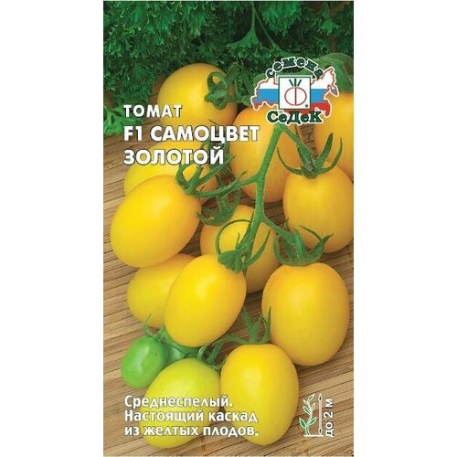 ���� ����� �������� ������� F1 (3 ��������), ������, ������ �� 379 ���