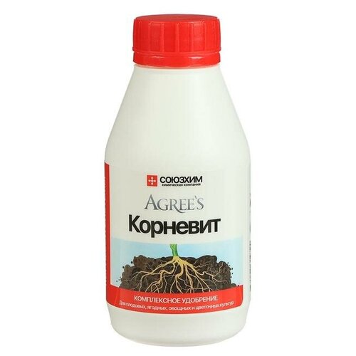 ���� ����������� ��������� 