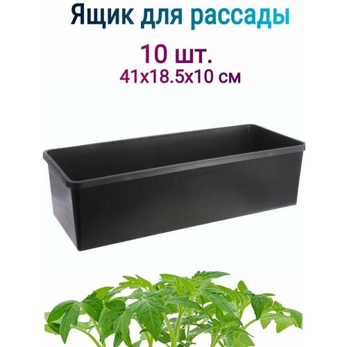 ���� ���� ��� ������� 41�18,5�10�� 