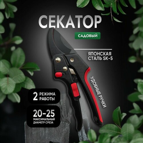 ���� ������� Simple Goods � �������� ����������, ������� ����� 25 ��, ������ �� 755 ���