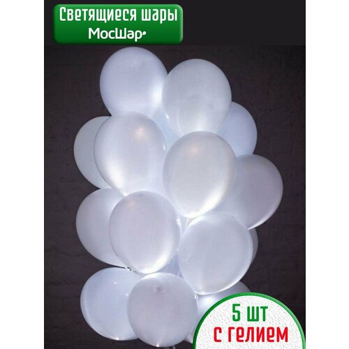 ���� ��������� ���� � ������, ���������� ����� ���� 5��, ������ �� 1295 ���