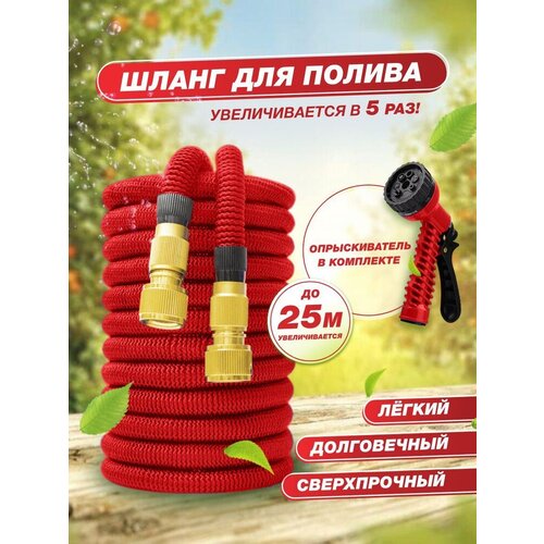 ���� ����� ������� ��������������� 25 ������, ������ �� 1200 ���