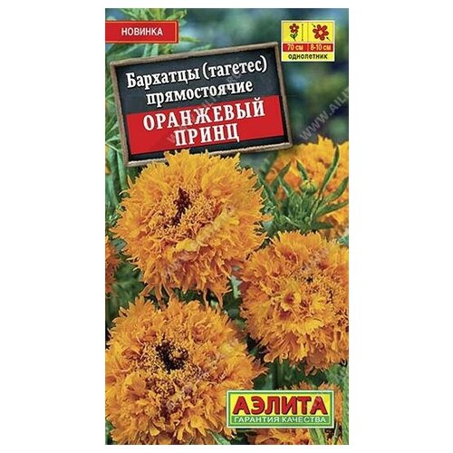 ���� ������. �������� 