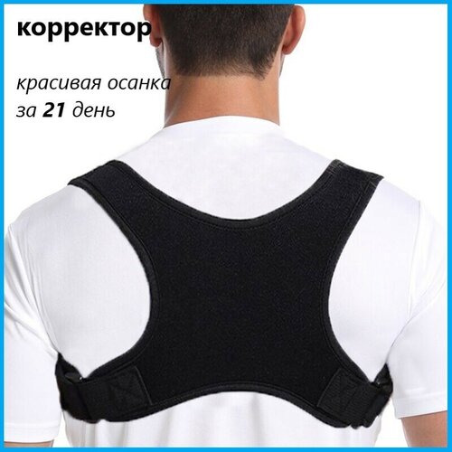 ���� ��������� ������ �������������� ������������� / ������ ��� ����� / ���������� ��� �������� � �����, ������ �� 649 ���