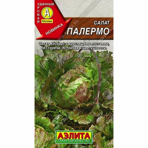 ���� ������ ����� �������, �������� (������) 0,5�, ������ �� 41 ���