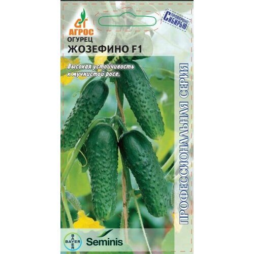 ���� ������ ������ �������� F1 8�� ������������������ ������ (�����), ������ �� 58 ���