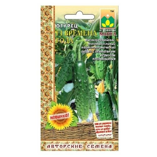 ���� ������ ����� 