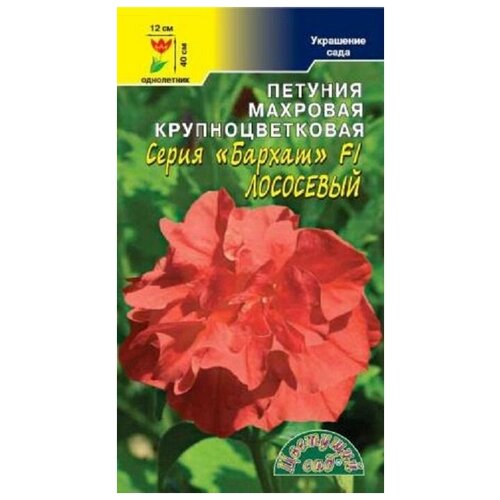 ���� ������ �������� ��� 