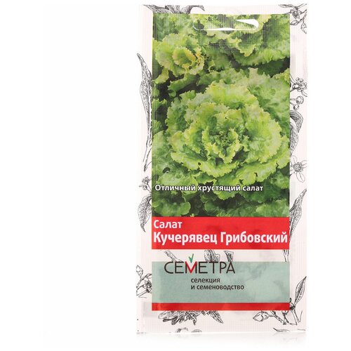 ���� ������ ����� ����� ��������� ����������, 1�, ������ �� 32 ���