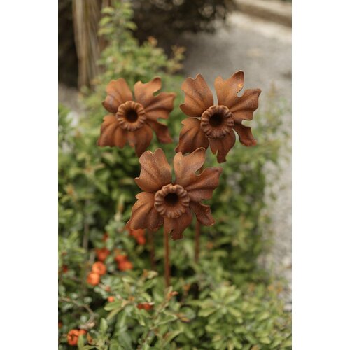 ���� ������� ����� �� ������ ������� ������, ������ �� 3555 ���