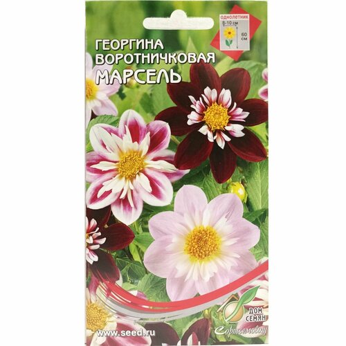 ���� �������� ������������� ������� ������ �� ���� �����, 15 �����, ������ �� 231 ���