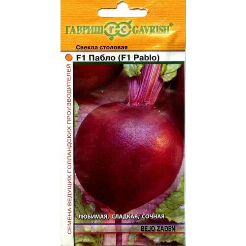 ���� ������. ������ 