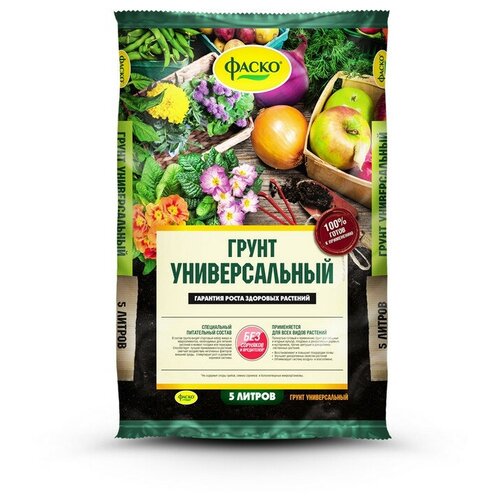 ���� ����� ������������� ����� 5� 3 ��., ������ �� 1423 ���